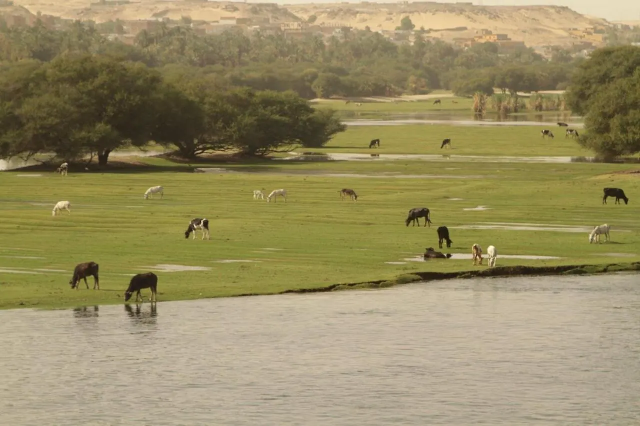 Ultra Nile Cruise Luxor To Aswan Hotell Egypten